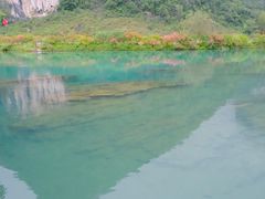 -靖西鹅泉风景区