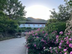-香山公园