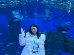 -哈尔滨波塞冬海底世界