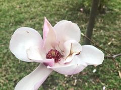 -晓港公园