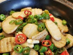 -食家鸽园
