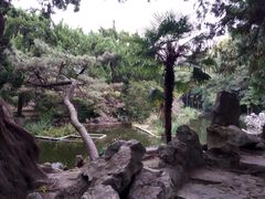 -叶家花园