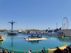 -秦皇岛乐岛海洋王国