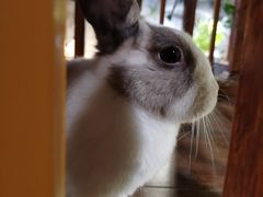 -上海第一八佰伴