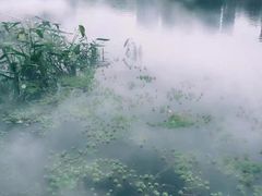 -重庆彩云湖湿地公园