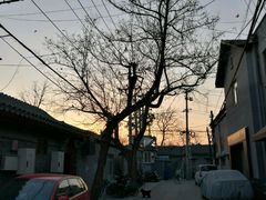 -Tian品
