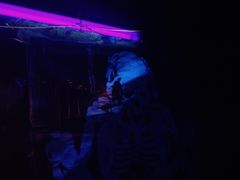 -南昌之星游乐场