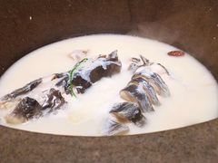 -咕嘟草帽鱼·牛奶一样的鲜鱼汤(包河万达广场创始店)