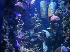 -海合安青岛极地海洋公园