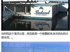 -泉城欧乐堡海洋极地世界