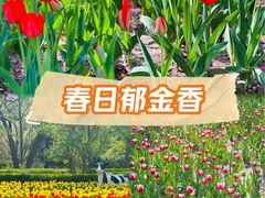 -迎泽公园