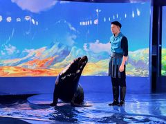 -欢乐海岸海洋奇梦馆