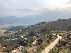 -紫鹊界梯田景区