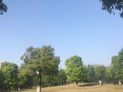 -重庆彩云湖湿地公园