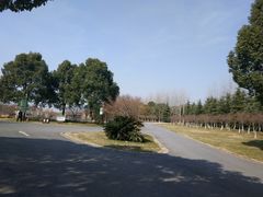 -花溪公园
