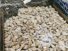 -天盛海鲜烧烤大排档·本地小海鲜·牟平腿穗子(幸福店)