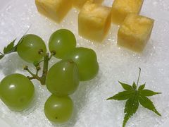 -觀芷隐轩