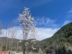 -潭柘寺景区