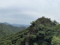 -大岭沟猕猴桃谷风景区
