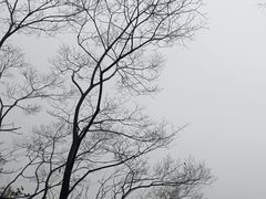 -道教老君洞