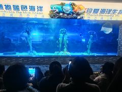 -成都浩海立方海洋公园