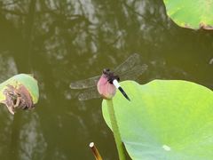-竹泉村旅游度假区