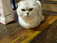 -MIKAKU(万达广场上海宝山店)