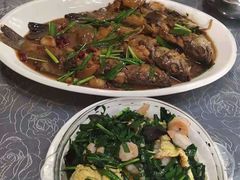 -龙香居海鲜家常菜饭店·特色驴肉·古城浑锅