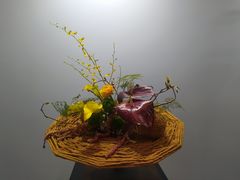 -云溪植物园