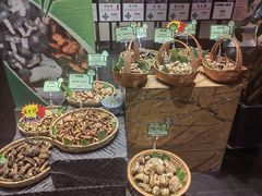 -黔蘑菇四季餐厅(观山湖店)