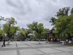-文瀛公园