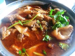 -大家乐东北菜(富河园店)