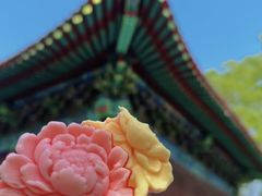 -曹州牡丹园