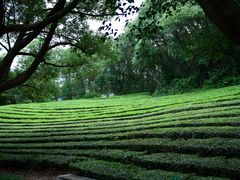 -敬亭山风景名胜区