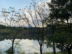 -福建鲤鱼洲酒店