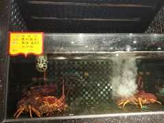 -大谊园