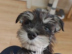 -乖乖宠物医院·猫科·骨科·24小时(云岗分院)