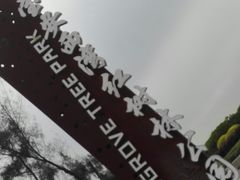 -宝安西湾红树林湿地公园