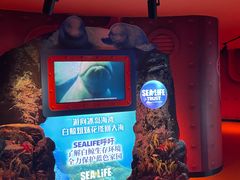 -沈阳海洋探索中心