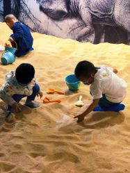 -恐龙探索乐园(磁器口店)