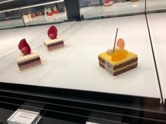 -BLACKSWAN黑天鹅(环球店)