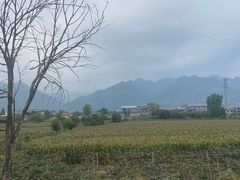 -终南山古楼观历史文化景区