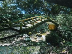-波尔登森林公园