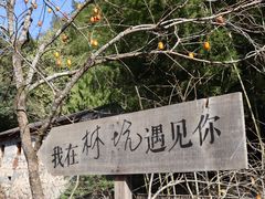 -林坑古村落