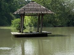 -金山公园