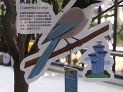 -大小咖啡 BigSmallCoffee(麦子店)