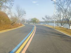 -羊山湖公园