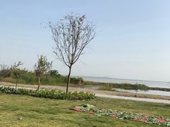 -七的湖·晚芳亭·阳澄湖农家菜·大闸蟹(莲花岛店)