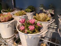 -花开餐厅(环湖中路店)