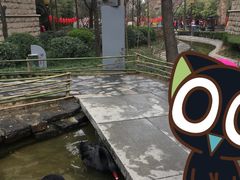 -西安曲江寒窑遗址公园